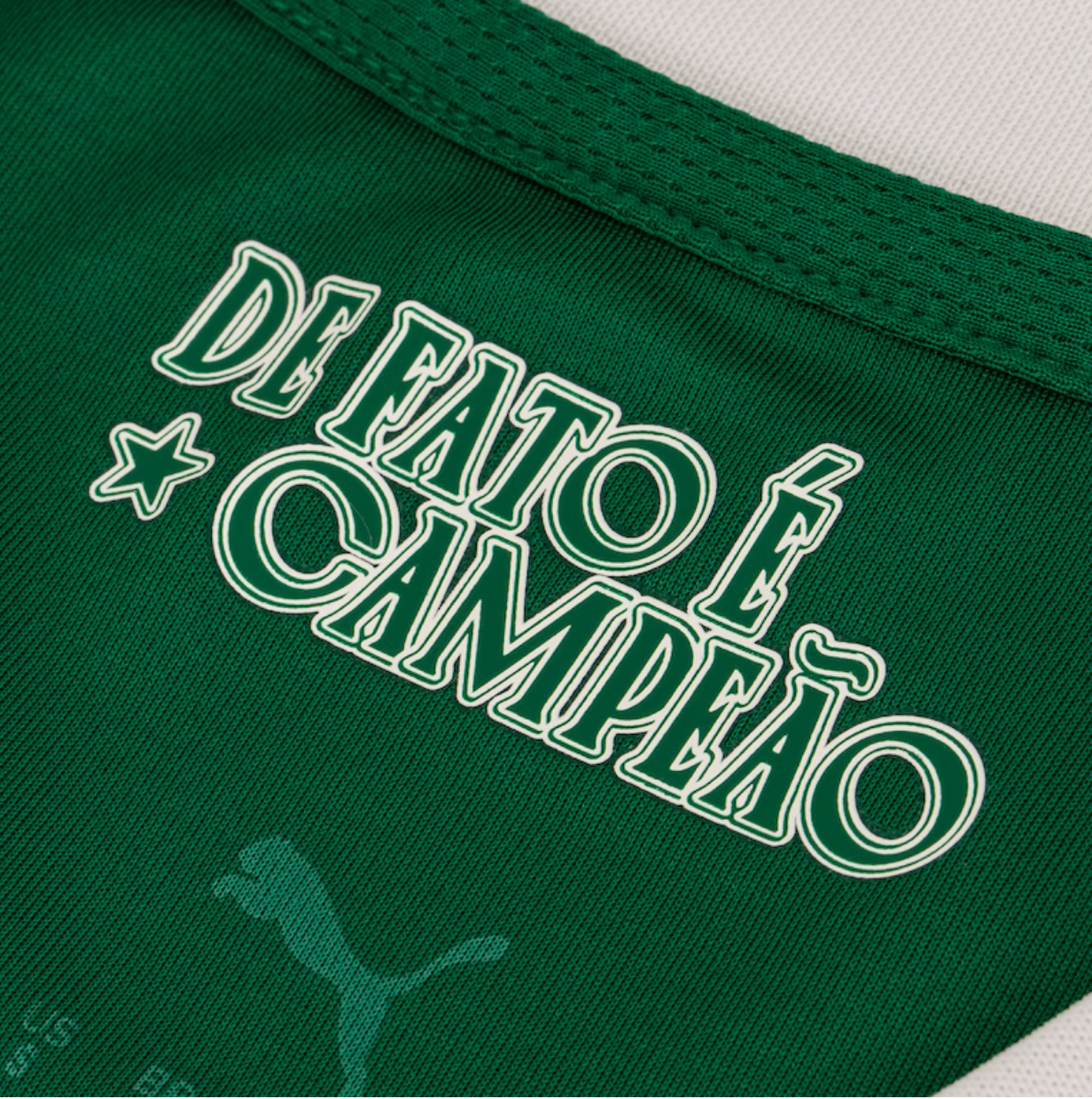 Camisa Palmeiras 25/26 - | Futmantos