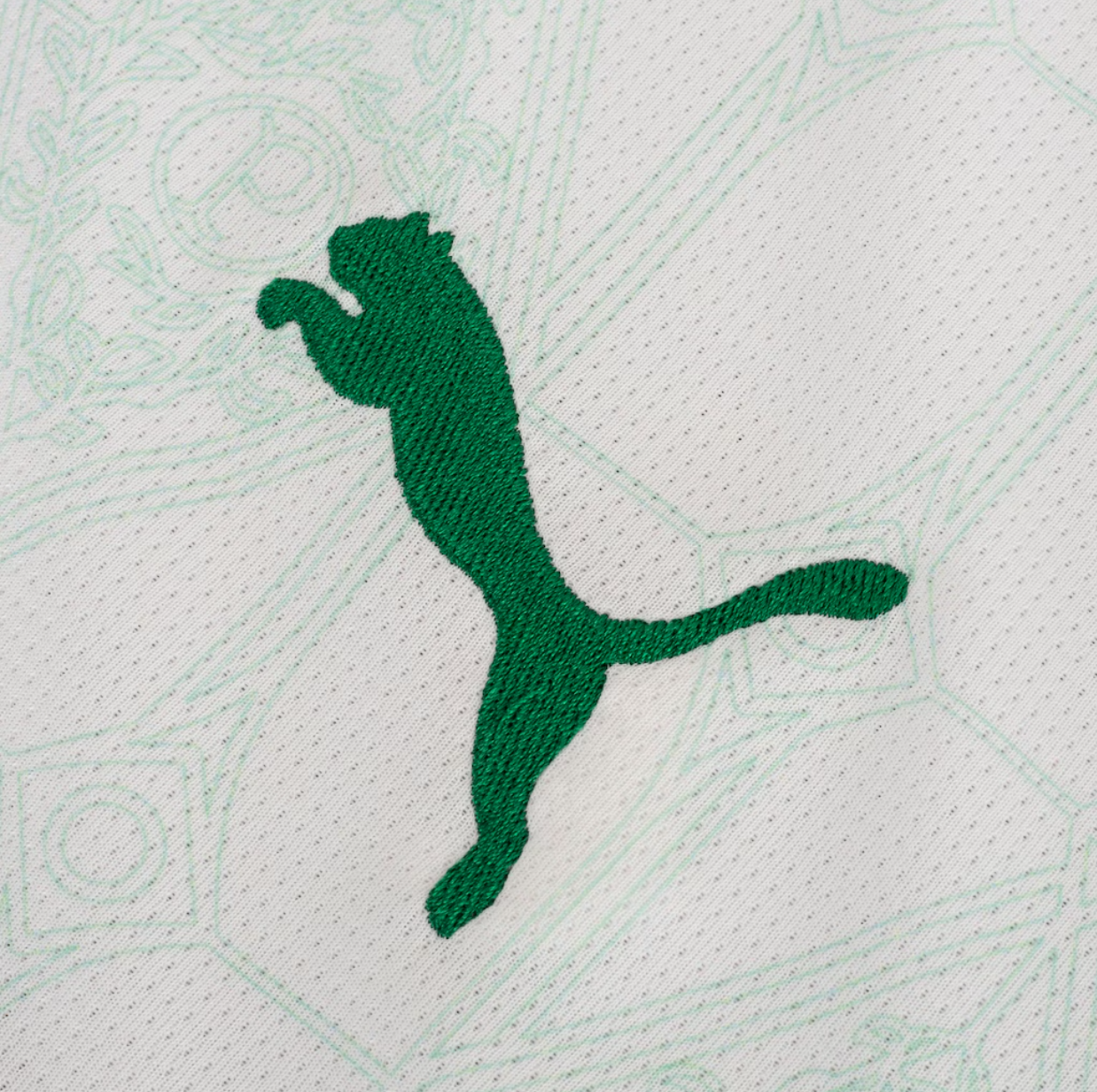 Camisa Palmeiras ll 25/26 - | Futmantos