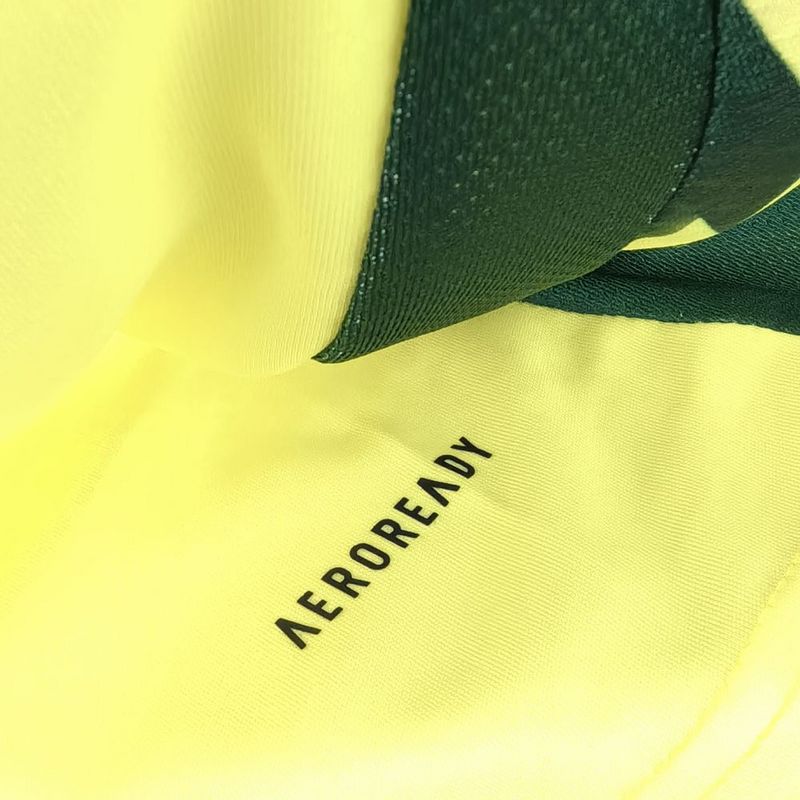 Camisa Seleção País de Gales II - 24/25 | Futmantos