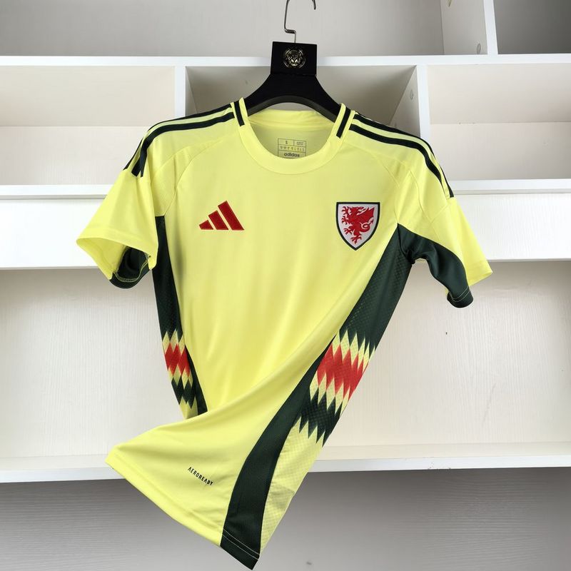 Camisa Seleção País de Gales II - 24/25 | Futmantos