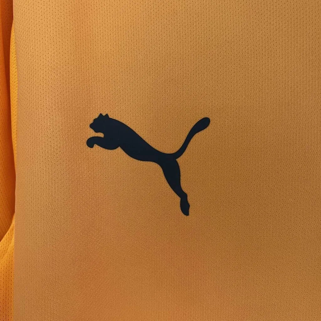 Camisa do Galatasaray 2024/25 | Futmantos