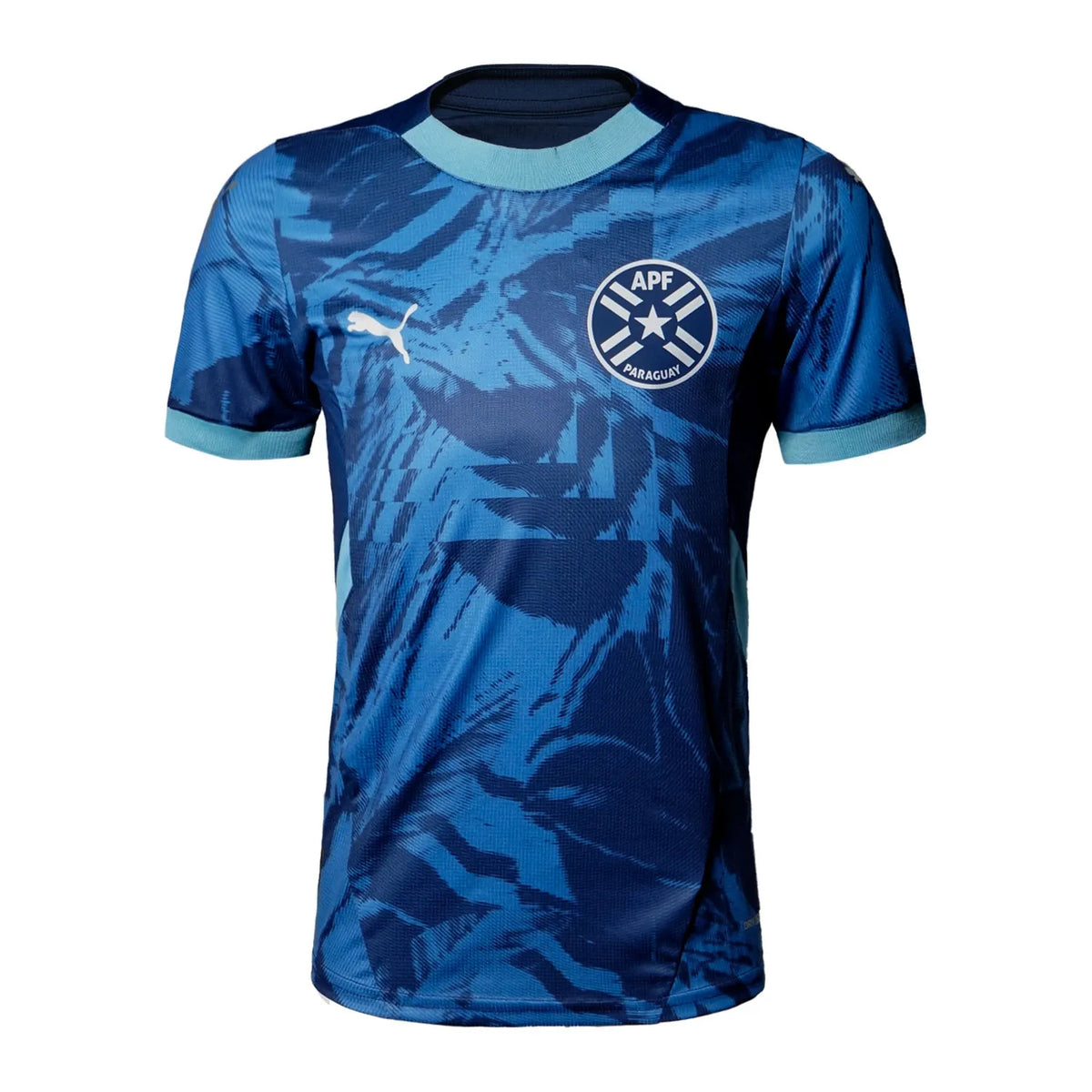 Camisa Paraguai II 24/25