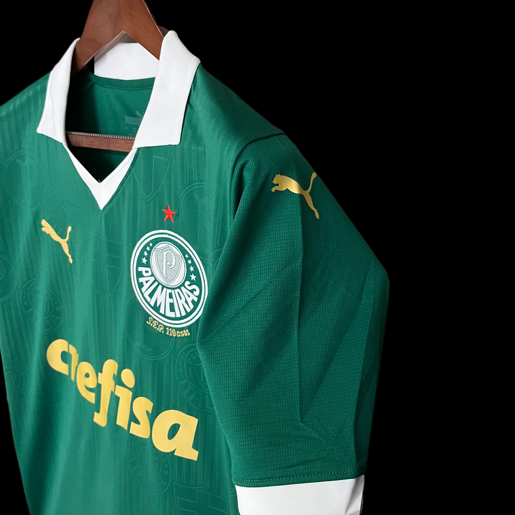 Camisa Palmeiras I 24/25 - Verde | Futmantos
