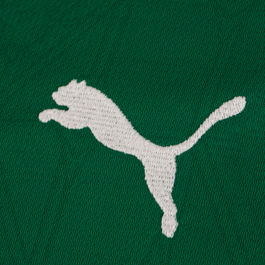 Camisa Palmeiras 25/26 - | Futmantos