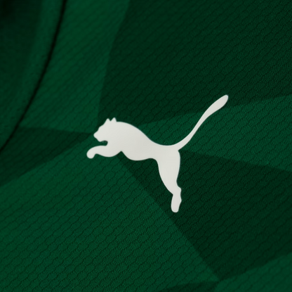 Camisa Palmeiras I 23/24 - Verde | Futmantos