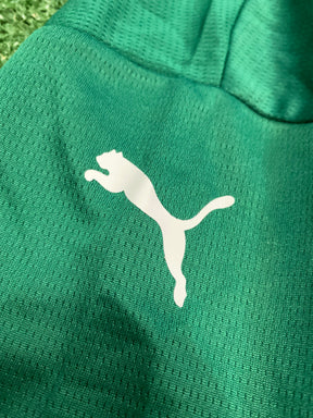 Camisa Palmeiras 25/26 - | Super Mundial