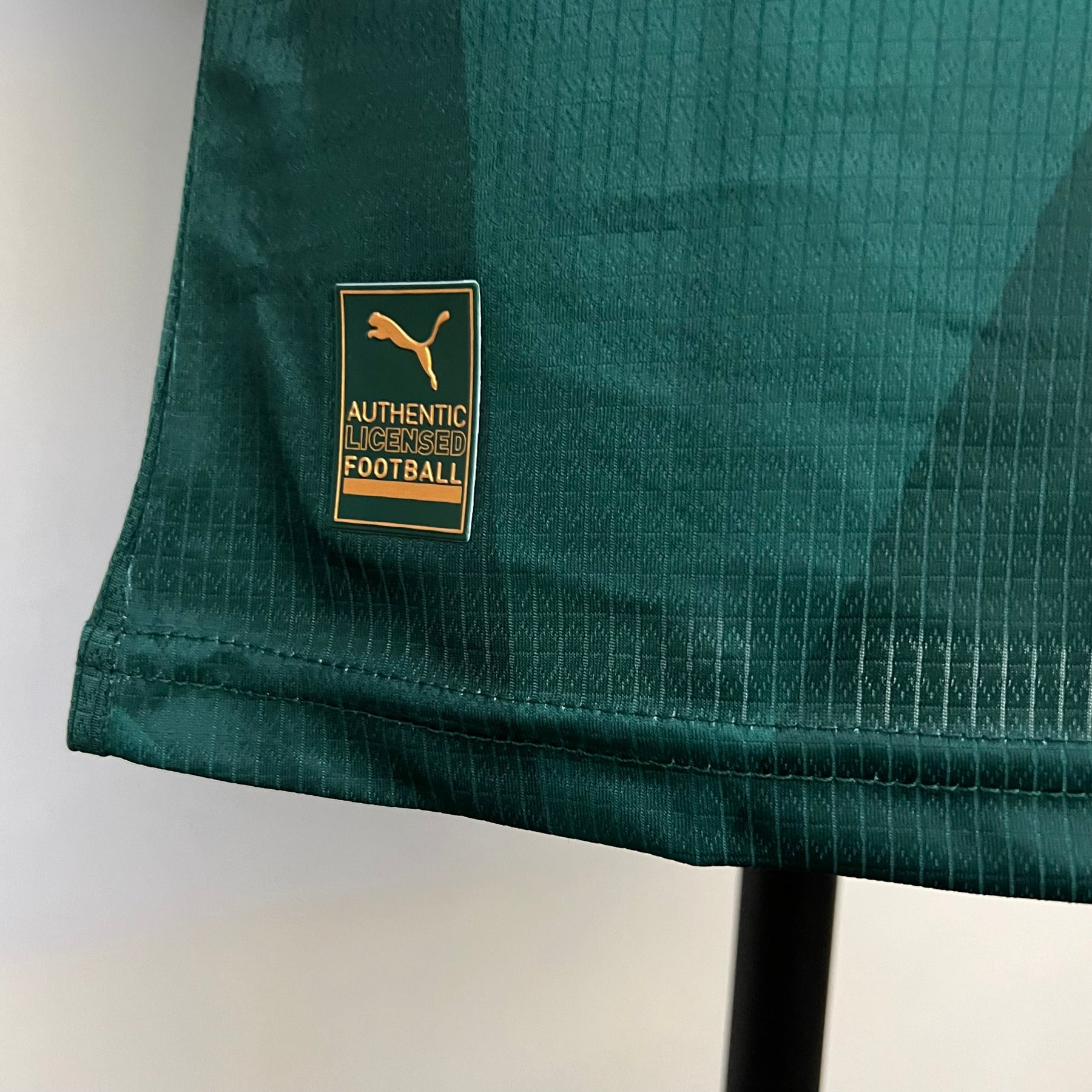 Camisa Palmeiras I 23/24 - Verde - - Masculino Jogador | Futmantos