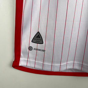 Camisa SL Benfica Edição Especial - 23/24 | Futmantos